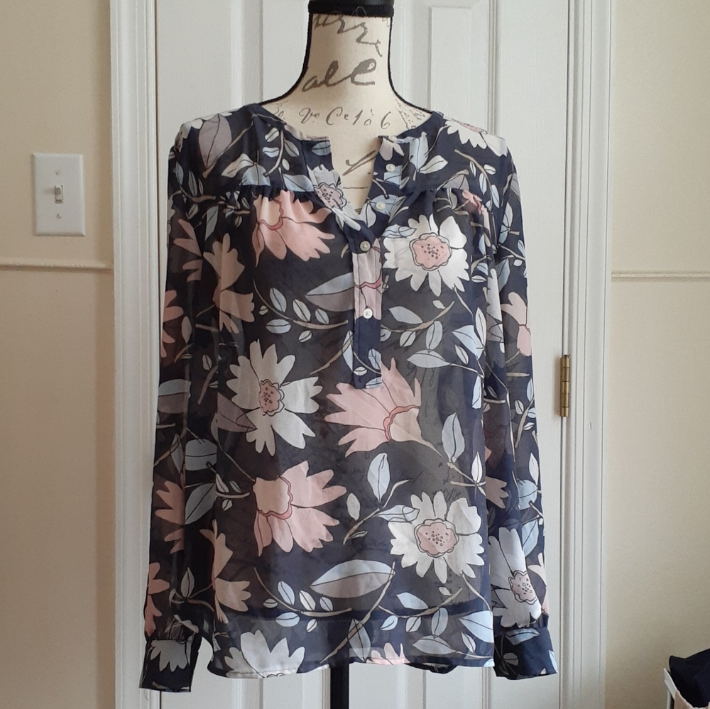 Ann Taylor Sheer Blue/Pink Blouse